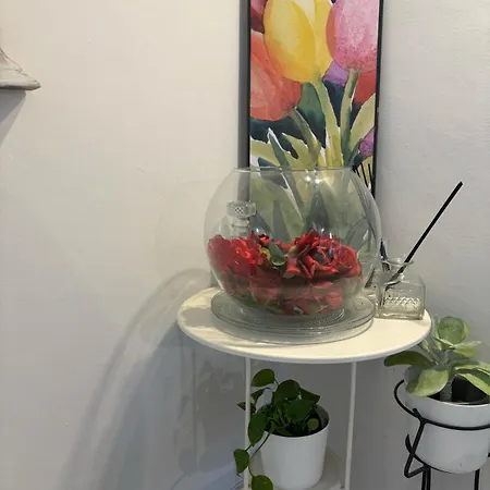 Live In - 250m Dalla Stazione Centrale Di Affittacamere Pisa