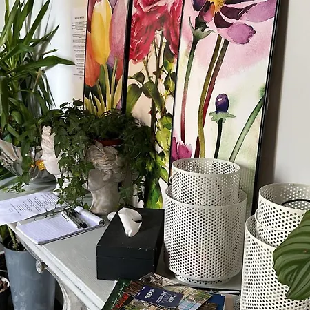 Live In - 250m Dalla Stazione Centrale Di 3* Pisa