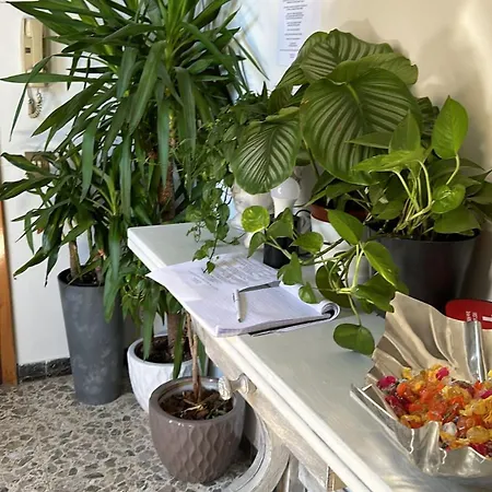 Live In - 250m Dalla Stazione Centrale Di Pisa