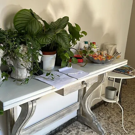 Live In - 250m Dalla Stazione Centrale Di 3*