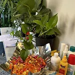 Live In - 250m Dalla Stazione Centrale Di Guest house 3*